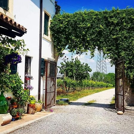 Corte Le Vigne Bed & Breakfast Верона Екстериор снимка